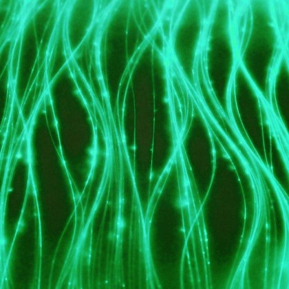 ORGANZA LUMINOUS FABRIC - SAMPLE PACK